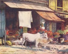 A Corner of the Fruit Market, Delhi 1905. Artist: Mortimer Luddington Menpes