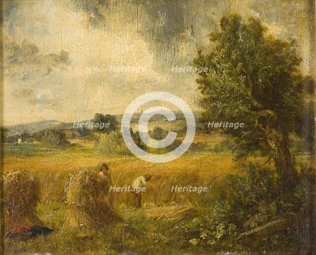 'A cornfield', 1796-1837. Artist: John Constable.