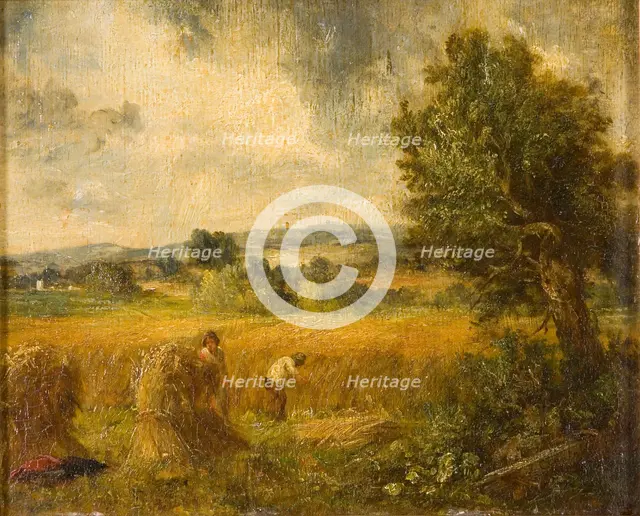 'A cornfield', 1796-1837. Creator: John Constable.