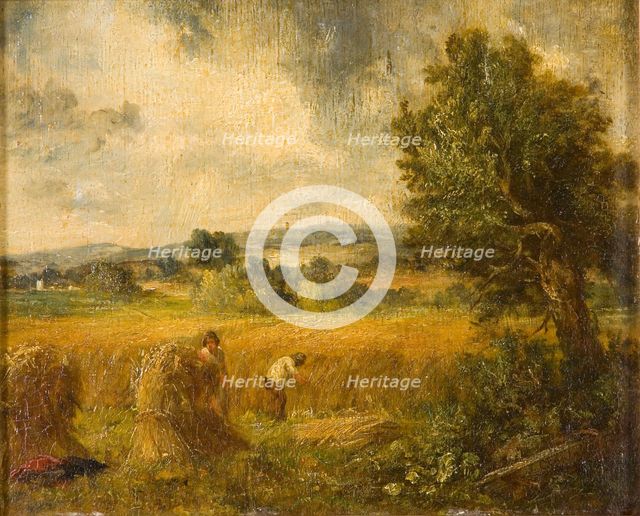 'A cornfield', 1796-1837. Creator: John Constable.