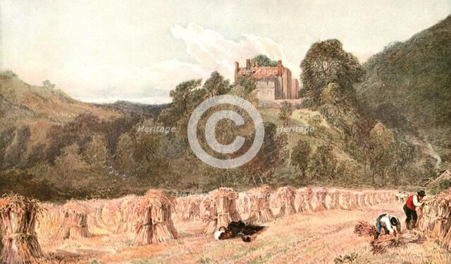 'A Cornfield', c1840s, (c1900).  Creator: Unknown.