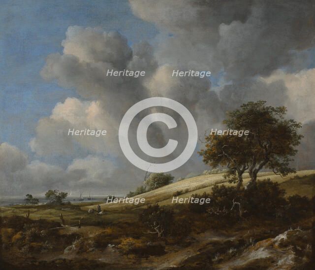 A Cornfield with the Zuiderzee in the background, c. 1660. Artist: Ruisdael, Jacob Isaacksz, van (1628/29-1682)