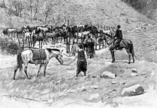A corral, Patagonia, Argentina, 1895.Artist: Alfred Paris