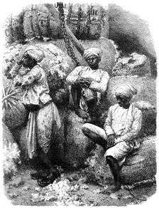 A cotton market in Bombay, India, 19th century
