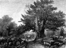 "A Country Churchyard" - painted by Samuel Read - from the Exhibition of the Society of British Arti Creator: Mason Jackson