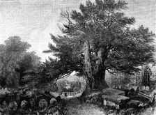 "A Country Churchyard" - painted by Samuel Read - from the Exhibition of the Society of British Arti Creator: Mason Jackson