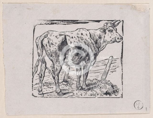 A Cow, ca. 1853. Creator: Charles Emile Jacque.