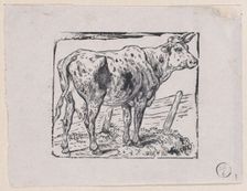 A Cow, ca. 1853. Creator: Charles Emile Jacque