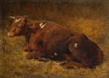 A Cow Lying On The Ground, 1865-1872. Creator: Alfred Baker