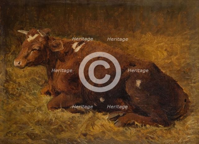 A Cow Lying On The Ground, 1865-1872. Creator: Alfred Baker.