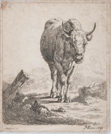 A cow, seen from the front, 1805. Creator: Adam von Bartsch