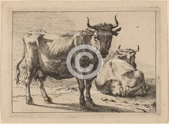 A Cow Standing and Another Lying Down, 1650. Creator: Paulus Potter.