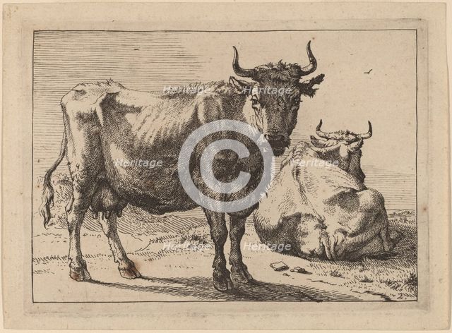 A Cow Standing and Another Lying Down, 1650. Creator: Paulus Potter.