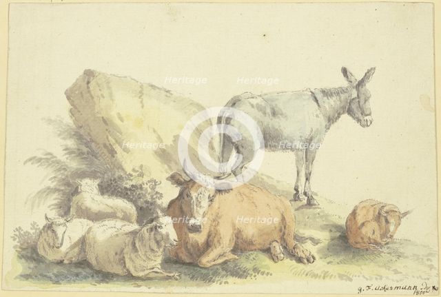 A cow, three sheep, a donkey, and a calf, 1800. Creator: Georg Friedrich Ackermann.