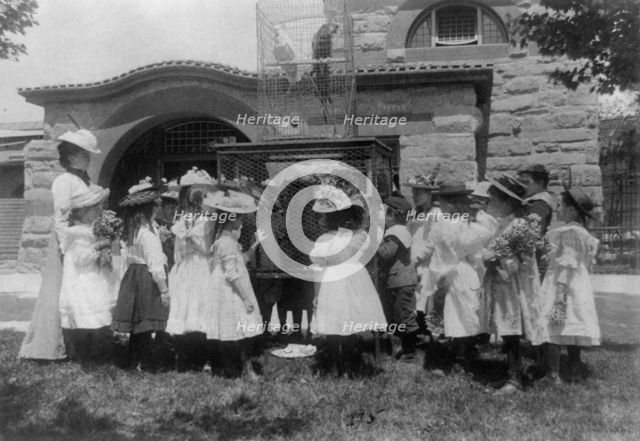 A class at the zoo - the bird cage, (1899?). Creator: Frances Benjamin Johnston.
