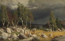 A Clearing, Uusimaa Landscape; Burnt Clearing, Landscape from Uusimaa, 1872. Creator: Fanny Churberg