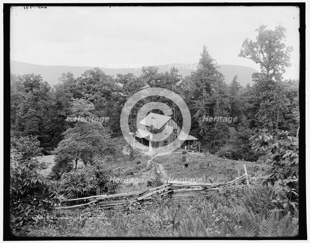 A clearing in the mountains, (1902?). Creator: William H. Jackson.