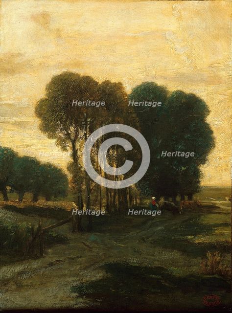 A Clump of Trees, c. 1860. Creator: Constant Troyon.