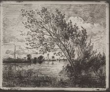 A Cluster of Alders, original impression 1862, printed in 1921. Creator: Charles François Daubigny (French, 1817-1878)