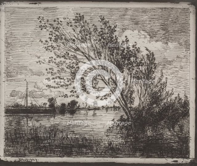 A Cluster of Alders, original impression 1862, printed in 1921. Creator: Charles François Daubigny (French, 1817-1878).