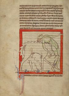 A Crocodile; Northumberland Bestiary, about 1250-1260. Creator: Unknown