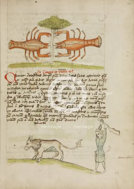 A Crab and Its Mother: A Man Hitting a Donkey; Fables, third quarter of 15th century. Creator: Unknown.
