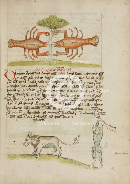 A Crab and Its Mother: A Man Hitting a Donkey; Fables, third quarter of 15th century. Creator: Unknown.