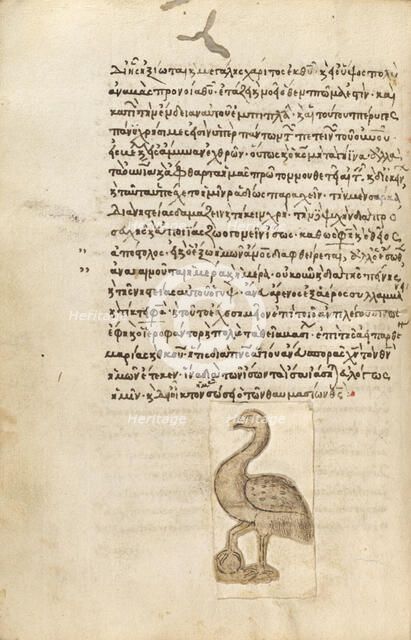 A Crane, 1510-1520. Creator: Unknown.