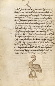 A Crane, 1510-1520. Creator: Unknown