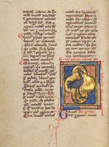 A Crane; Bestiary, about 1270. Creator: Unknown