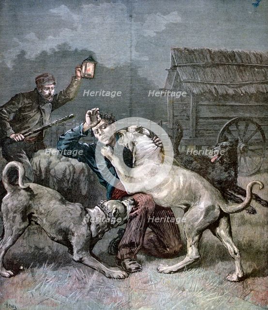 A criminal attacked by three large dogs, 1891. Artist: Henri Meyer