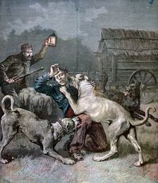 A criminal attacked by three large dogs, 1891. Artist: Henri Meyer