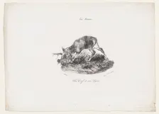 A Deer and a Lynx, 1834. Creator: Antoine-Louis Barye