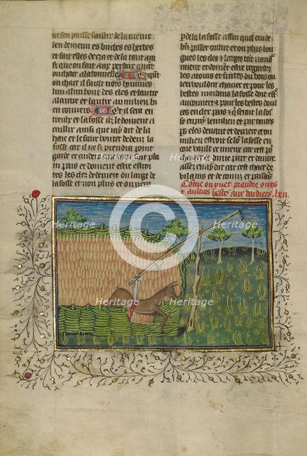 A Deer Wounded by a Spring Trap; Livre de la Chasse, about 1430-1440. Creator: Unknown.