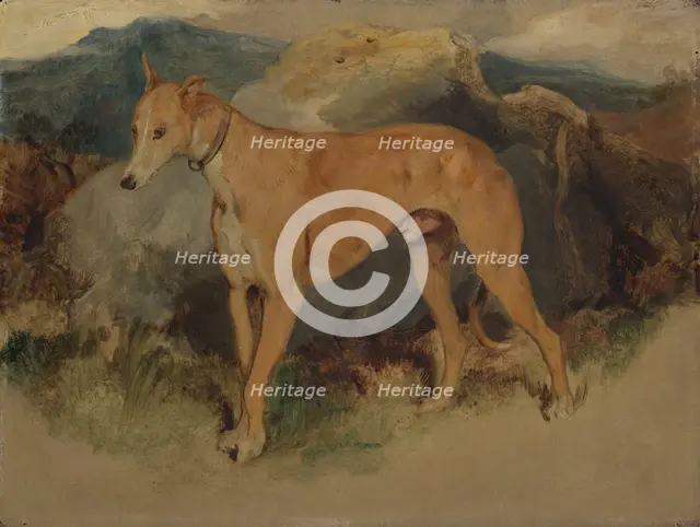 A Deerhound, 1826. Creator: Edwin Henry Landseer.