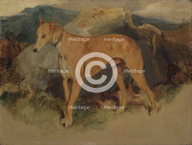 A Deerhound, 1826. Creator: Edwin Henry Landseer.