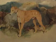 A Deerhound, 1826. Creator: Edwin Henry Landseer