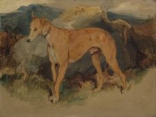 A Deerhound, 1826. Creator: Edwin Henry Landseer
