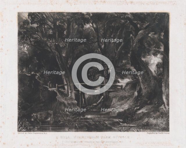 A Dell, Helmingham Park, Suffolk, 1830. Creator: David Lucas.
