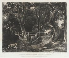 A Dell, Helmingham Park, Suffolk, 1830. Creator: David Lucas