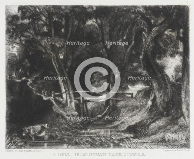 A Dell, Helmingham Park, Suffolk, 1830. Creator: David Lucas.
