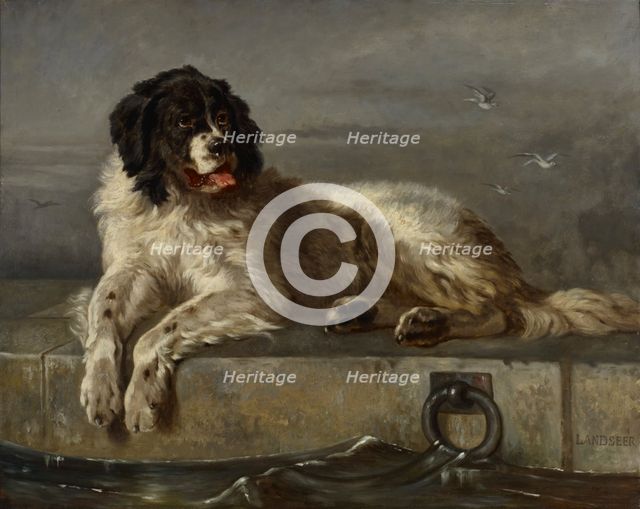 A Distinguished Member of the Humane Society, 1850-1899. Creator: Follower of Edwin Henry Landseer.
