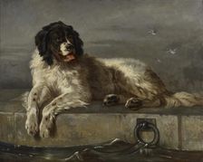 A Distinguished Member of the Humane Society, 1850-1899. Creator: Follower of Edwin Henry Landseer