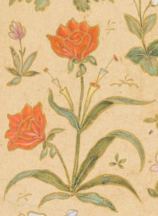 A Discourse Between Muslim Sages (image 3 of 6), c1630. Creator: Govardhan