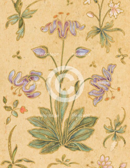 A Discourse Between Muslim Sages (image 4 of 6), c1630. Creator: Govardhan.