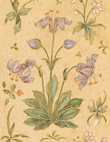 A Discourse Between Muslim Sages (image 4 of 6), c1630. Creator: Govardhan