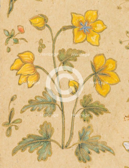 A Discourse Between Muslim Sages (image 6 of 6), c1630. Creator: Govardhan.