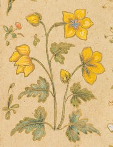 A Discourse Between Muslim Sages (image 6 of 6), c1630. Creator: Govardhan