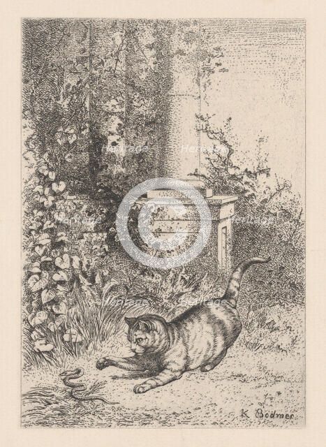 A Domestic Cat Playing with a Garter Snake, ca. 1860. Creator: Karl Bodmer.
