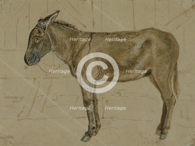 A donkey in a stable, c1814-1830. Creator: John Frederick Lewis.
